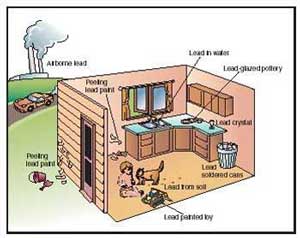 Lead Poisoning