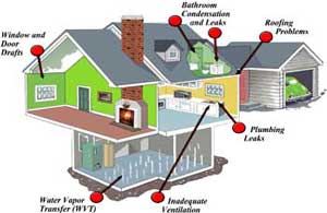 Mold in House